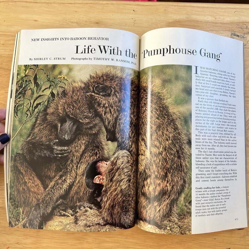 Vintage National Geographic May 1975 Adirondacks Rhodesia Baboons Nazca Lines - Picture 7 of 11
